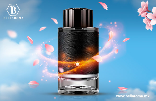 A Arte da Aplicação Correta: Pontos Estratégicos Que Fazem a Diferença - inspiração 2