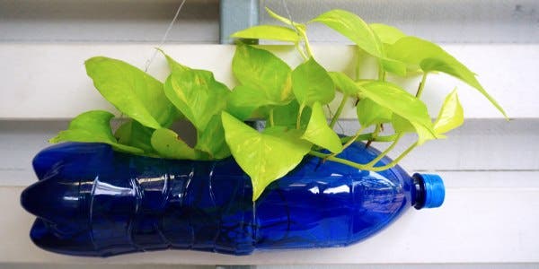 Soluções Criativas para uma Parede Verde Única - inspiração 1