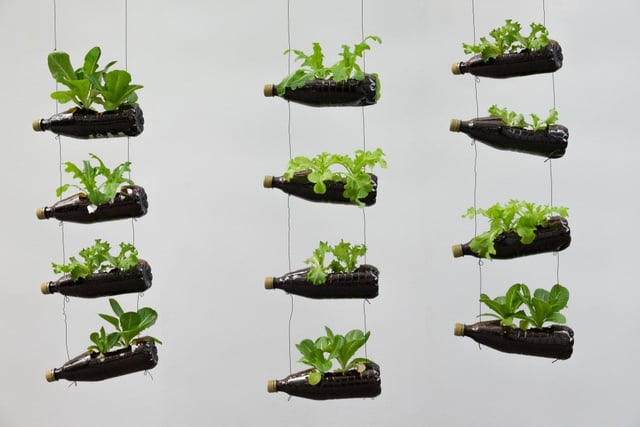 O Que Você Pode Plantar Nessa Hortinha Suspensa? - inspiração 2