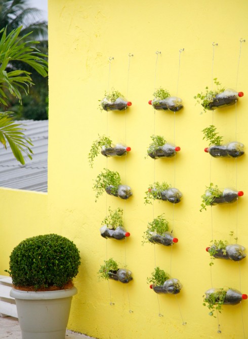 Materiais Essenciais para Montar Seu Jardim Vertical - inspiração 1