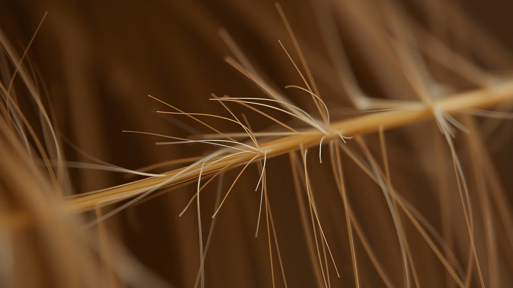 A Importância da Hidratação: Máscaras e Tratamentos Caseiros - inspiração 1