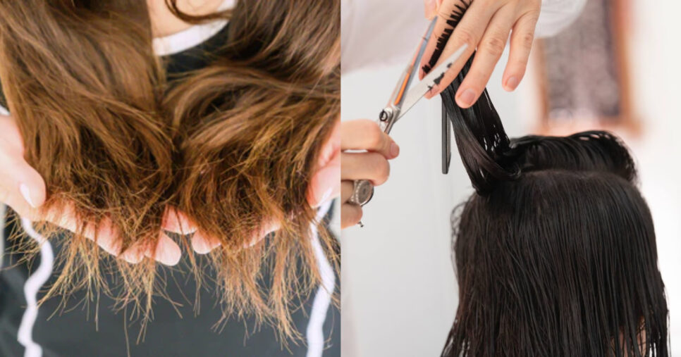 Alimentação e Saúde: Impacto Interno no Seu Cabelo - inspiração 2