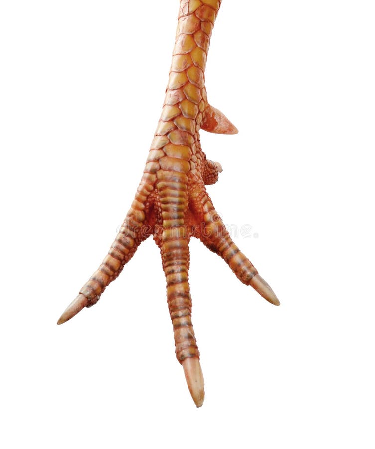 Produtos Específicos: O Poder dos Cosméticos Anti-idade - inspiração 1