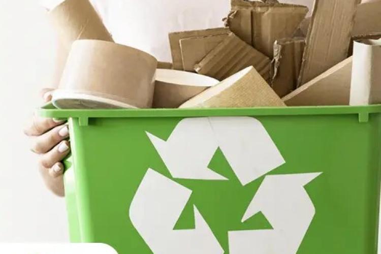 Vasos de Plantas Diferentões e Amigos da Natureza - inspiração 1