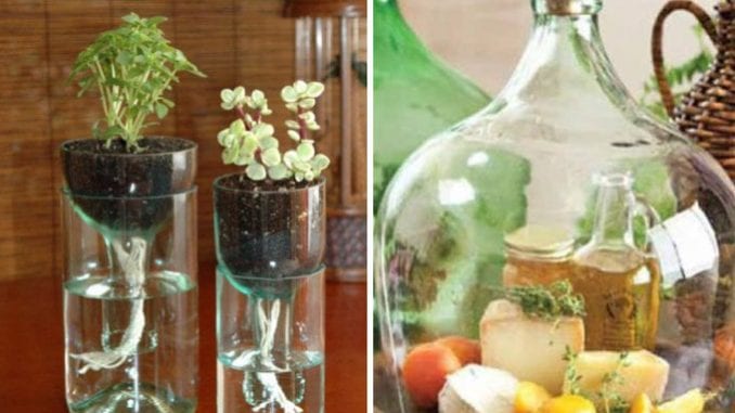 Embalagens Plásticas: Crie Adornos e Pequenos Vasos para suas Plantinhas - inspiração 1