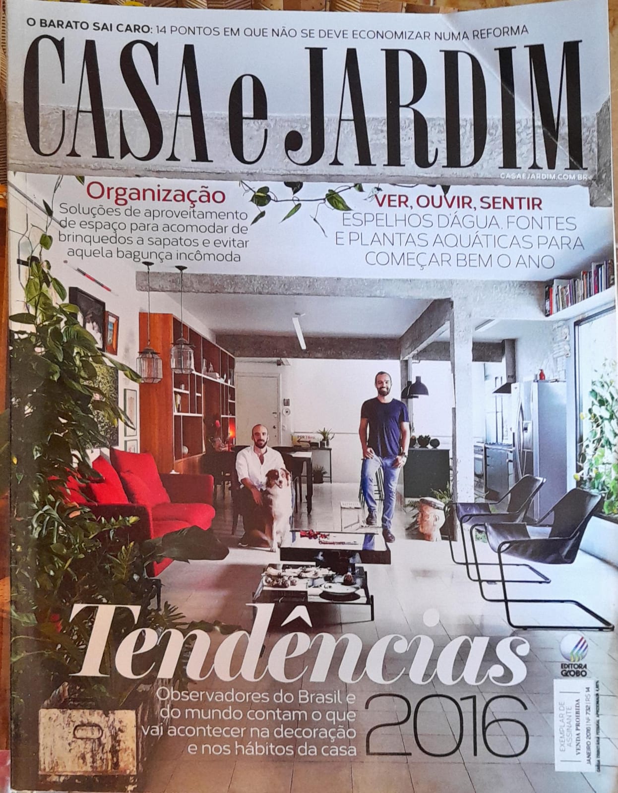 Hortas Urbanas em Apartamentos: Da Semente à Colheita - inspiração 2