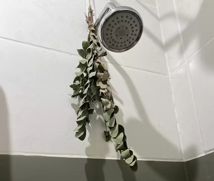 A Tendência 'Urban Jungle': Misturando Folhagens na sua Casa - inspiração 2