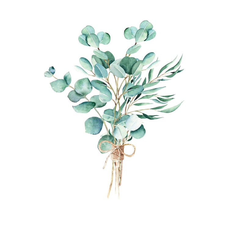 A Versatilidade do Eucalipto: Do Centro de Mesa ao Detalhe na Mesa de Centro - inspiração 1