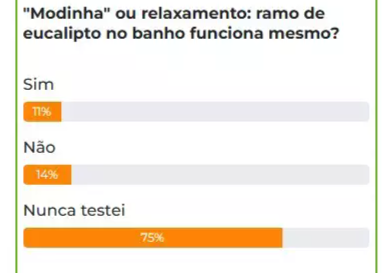 Cores e Texturas: Explorando a Paleta do Eucalipto - inspiração 1
