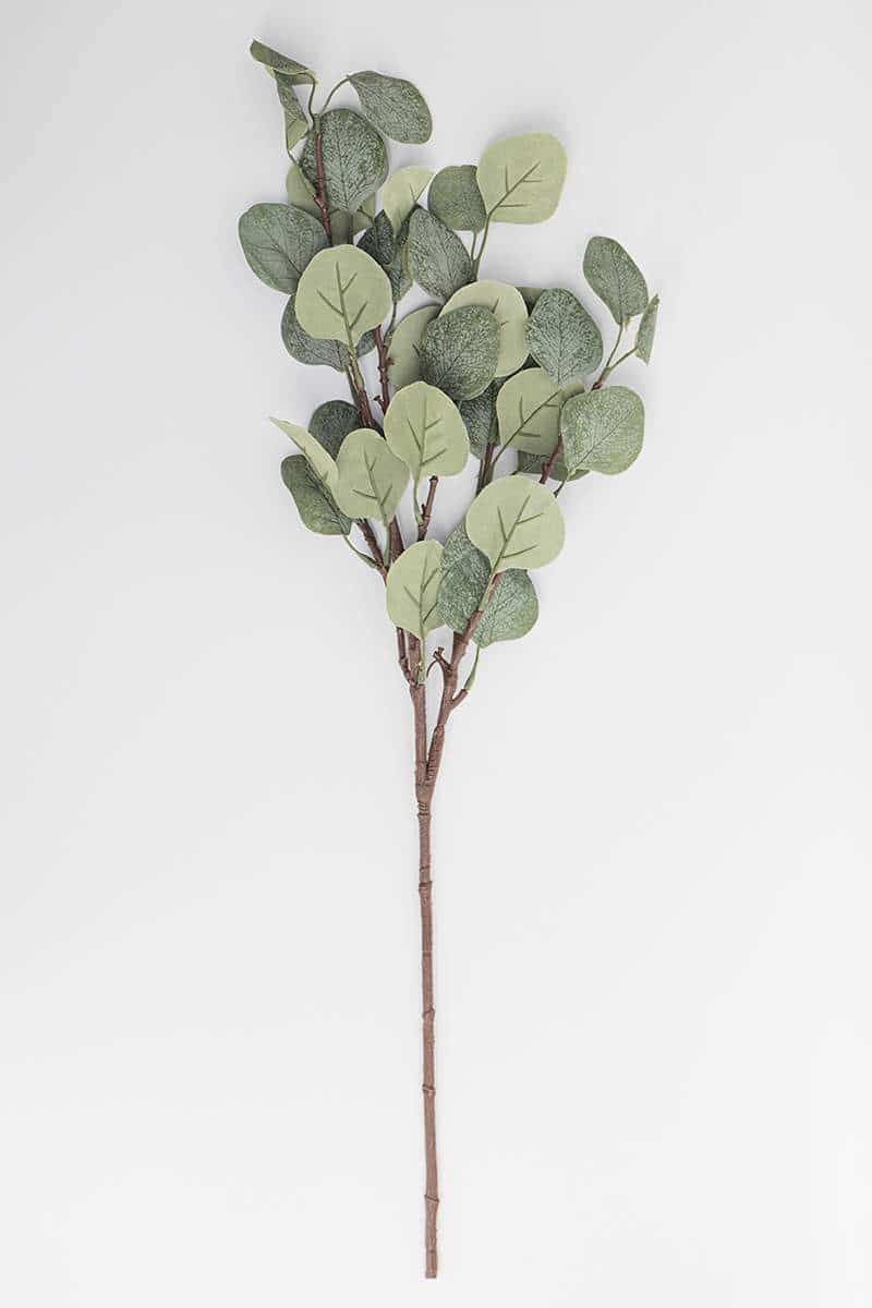 Cores e Texturas: Explorando a Paleta do Eucalipto - inspiração 2