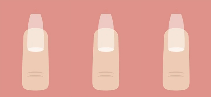 Escolha o Formato Ideal: Base Curva ou Reta? - inspiração 2