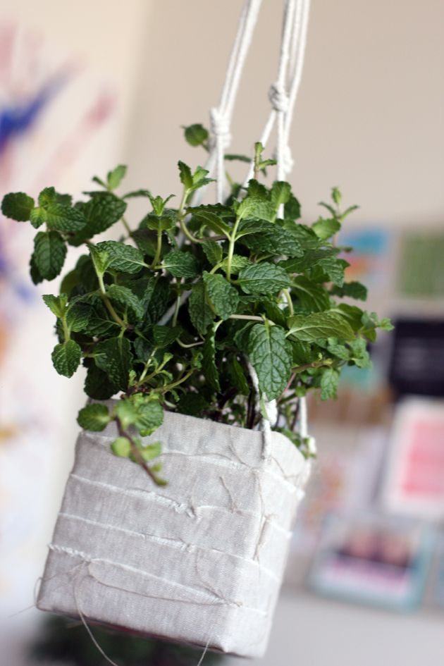 Opções de Decoração Criativa: Personalizando seu vaso - inspiração 2