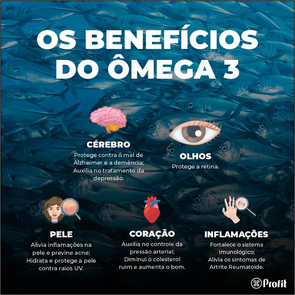A Importância do Equilíbrio: Ômega 3 vs. Ômega 6 Para a Pele - inspiração 2