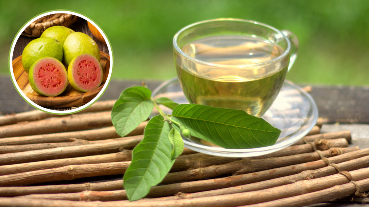 7 benefícios incríveis do chá de folha de goiaba para sua saúde