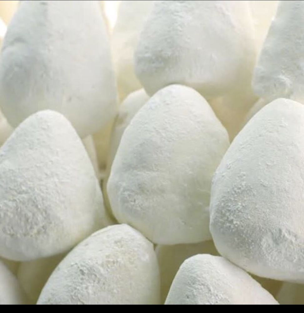 alimentos com a letra j