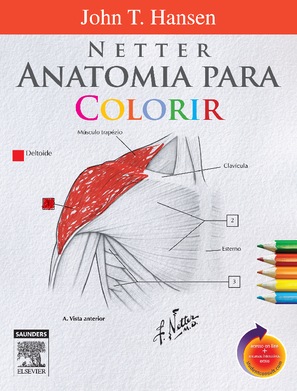 anatomia para colorir pdf