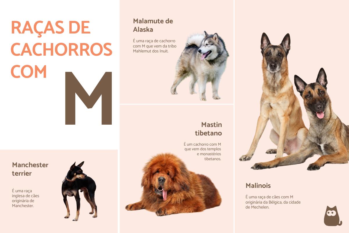 lista completa animais com a letra m