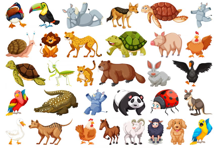 custo medio de animais de estimacao com nome em ingles que comeca com b