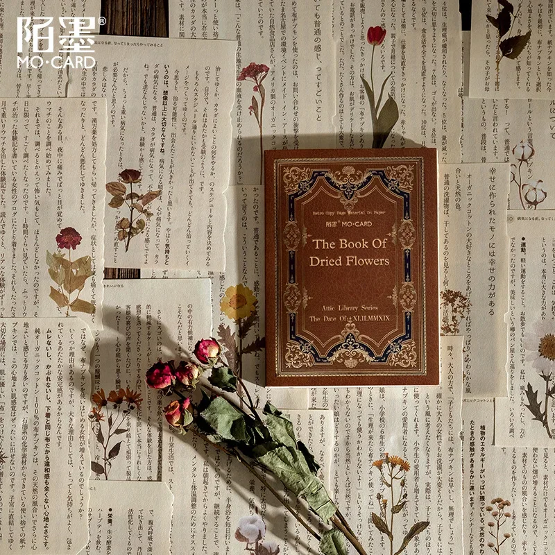 Book Folding para Iniciantes: Crie Esculturas 3D Incríveis