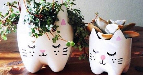 Guia Completo de Brinquedos Interativos para Gatos