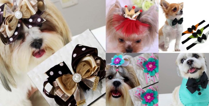 Como Transformar Materiais Reciclados em Caminhas Confortáveis para Cães