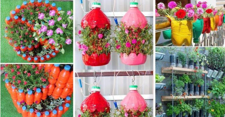 Enriquecimento Ambiental: Dicas para um Lar Mais Divertido para seu Pet