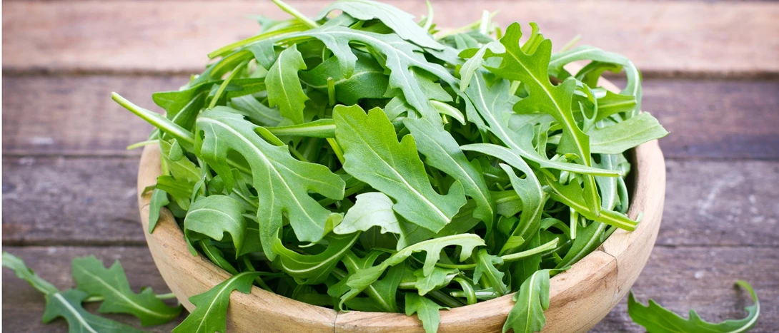 erros ao comer rucula