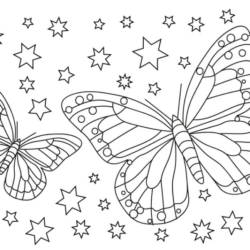 desenhos de borboletas com asas abertas para colorir