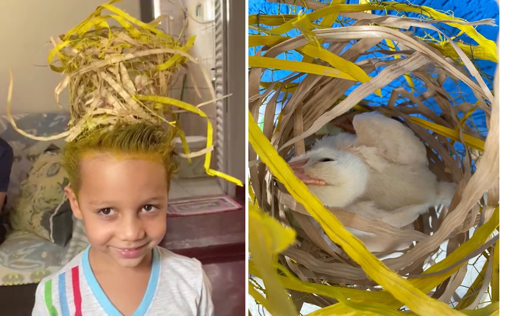 custo médio para materiais de cabelo maluco infantil