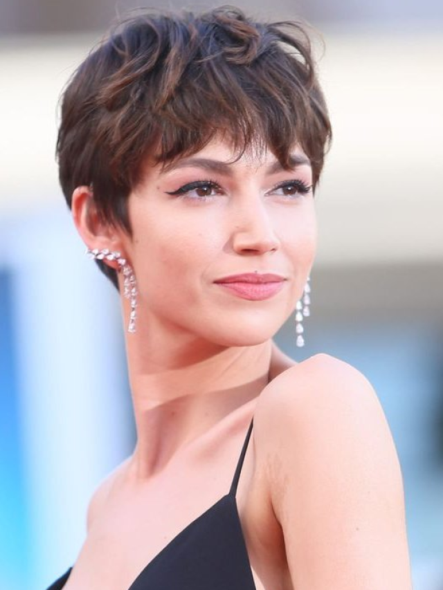 Descubra as Novidades