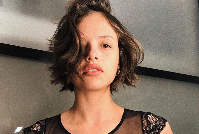 Descubra as Novidades