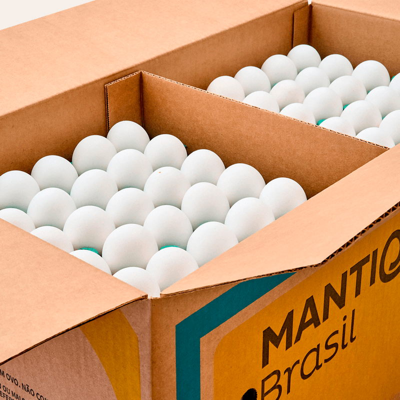 Guia Completo: Como Escolher a Melhor Caixa de Ovos para Seu Negócio