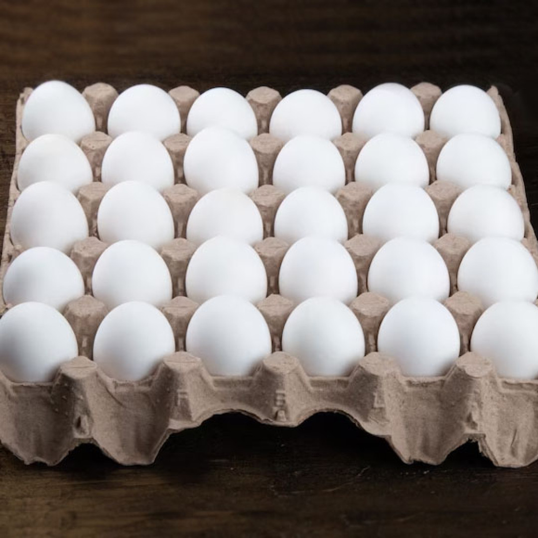 Organizadores de Ovos para Geladeira: Mantenha Seus Ovos Frescos e Seguros