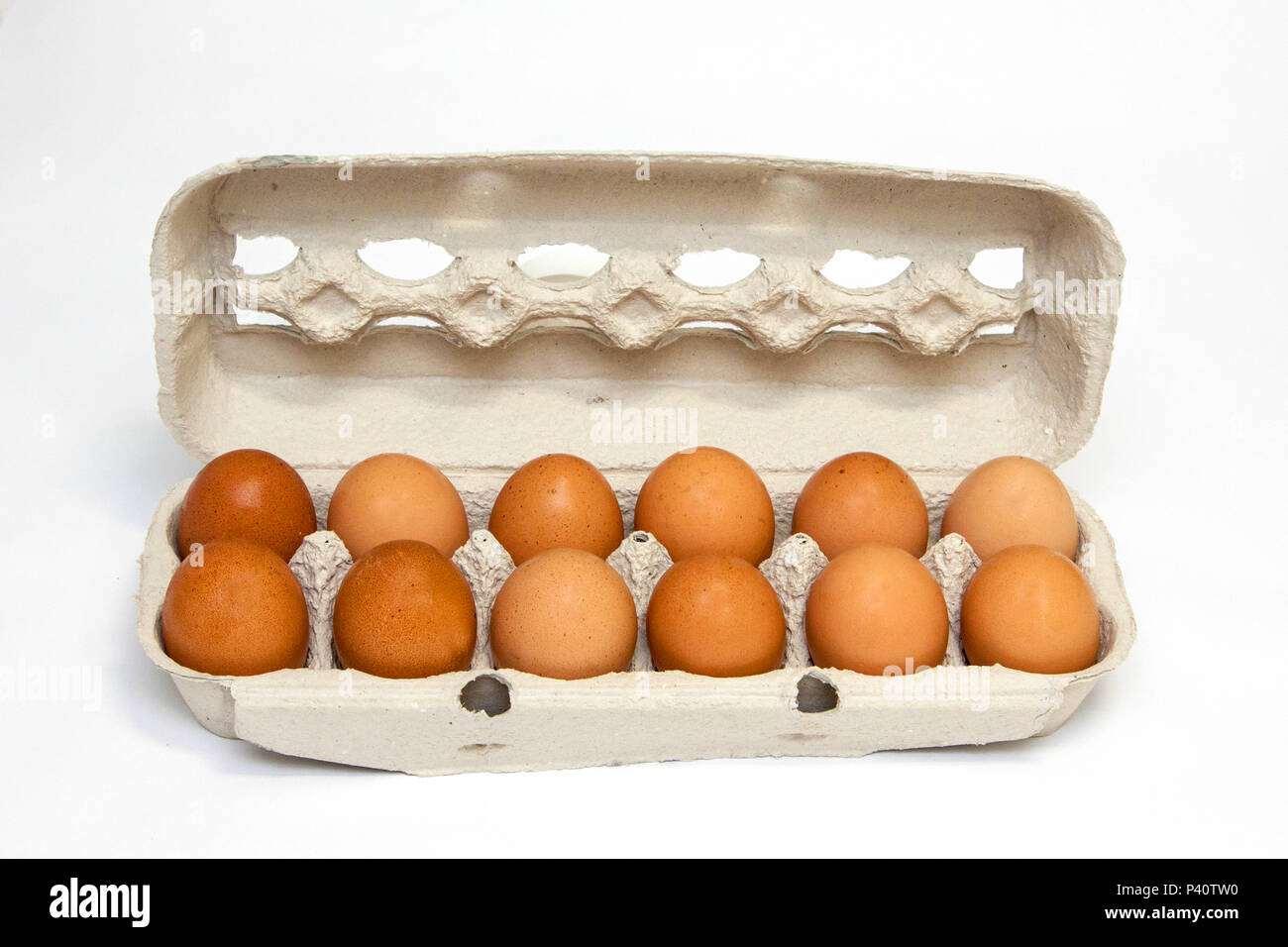 Onde Comprar Caixas de Ovos Vazias para Produtores e Artesanato