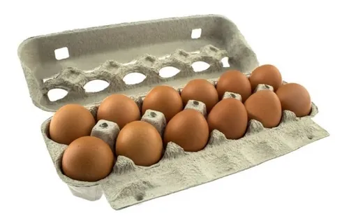 Guia Completo: Como Escolher a Melhor Caixa de Ovos para Seu Negócio