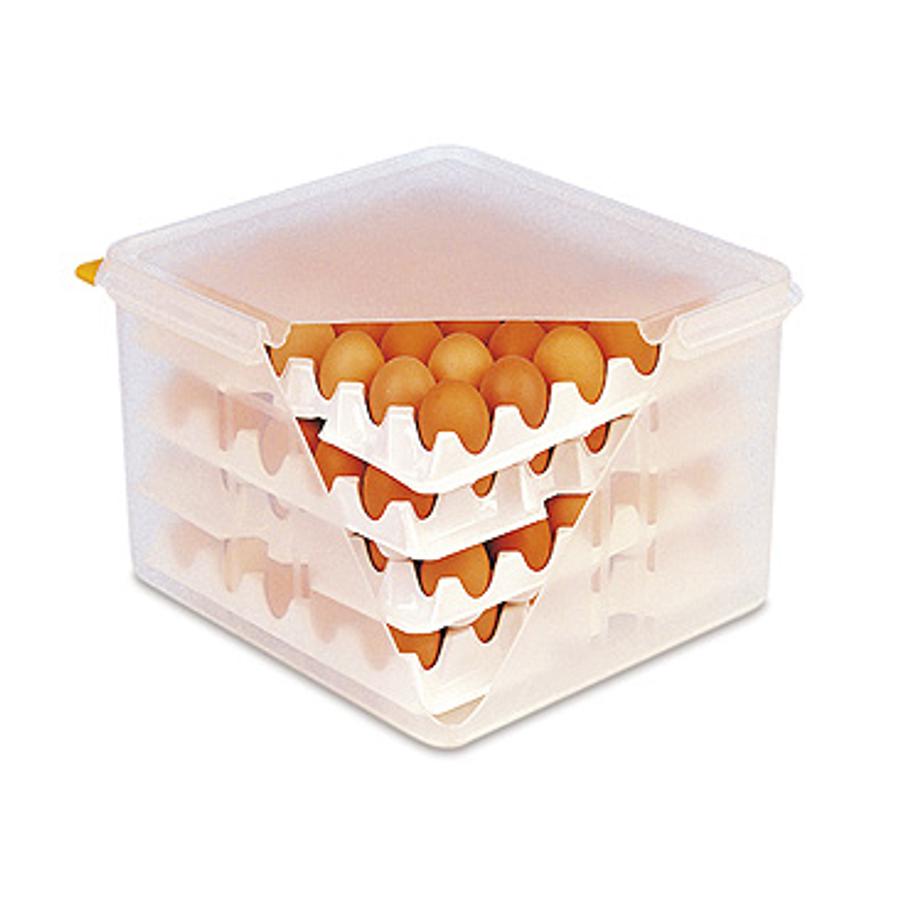 Onde Comprar Caixas de Ovos Vazias para Produtores e Artesanato