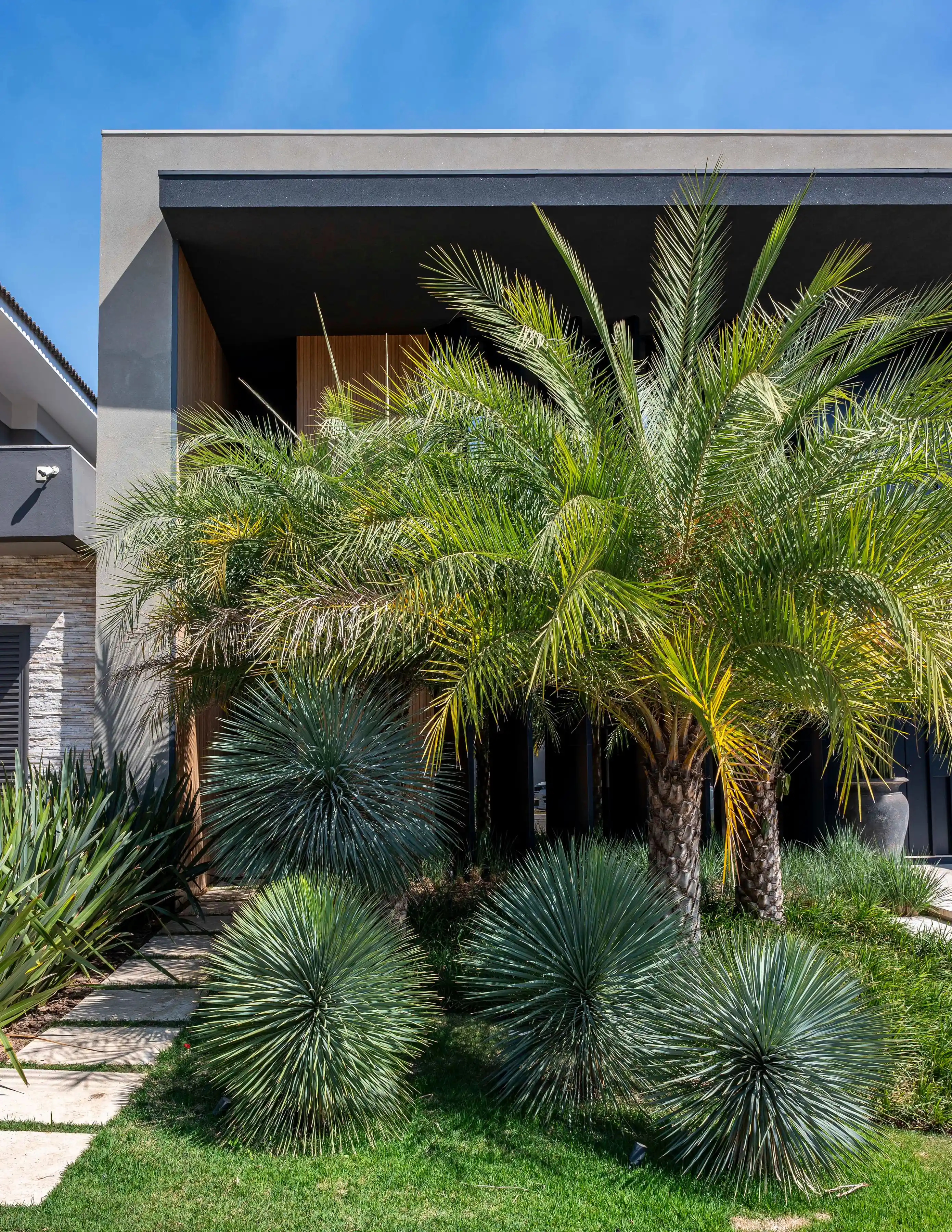 Guia Completo de Plantas para Fachadas de Casas