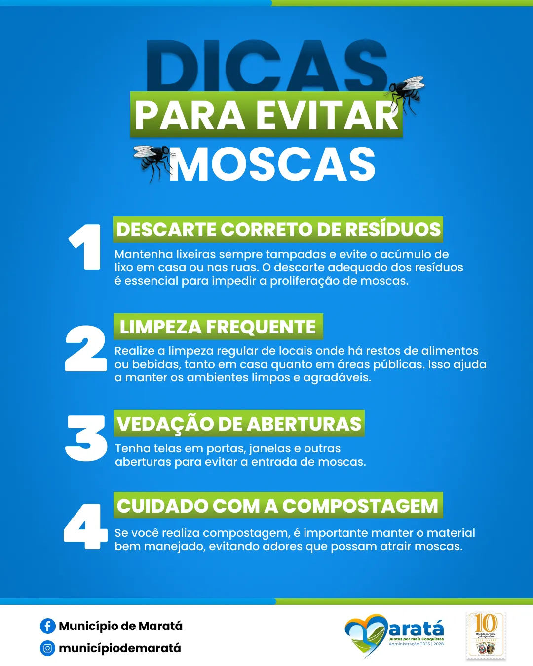 erros comuns ao tentar espantar moscas
