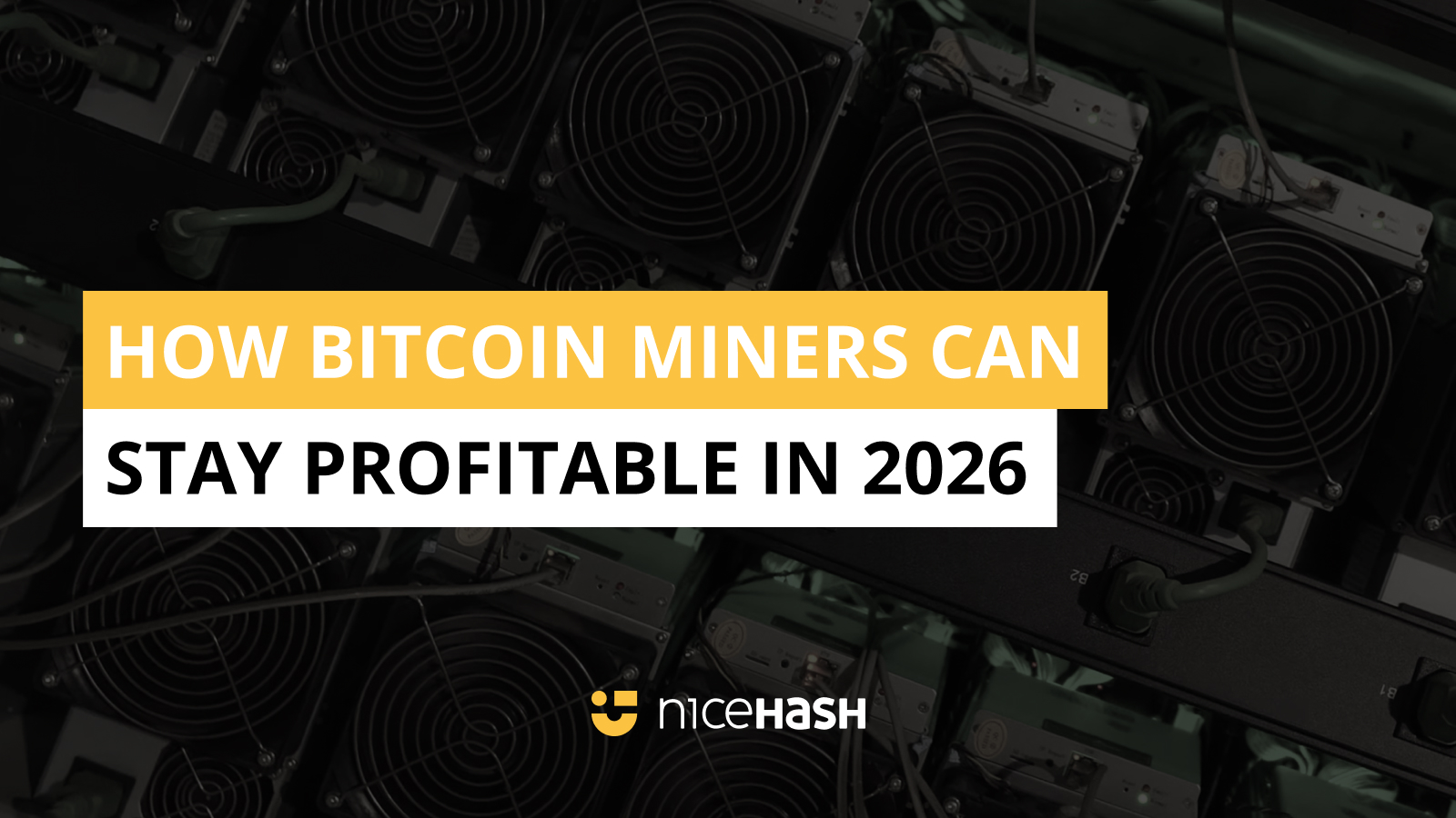 Segurança na Mineração: Escolhendo a Carteira Digital Certa e Evitando Golpes