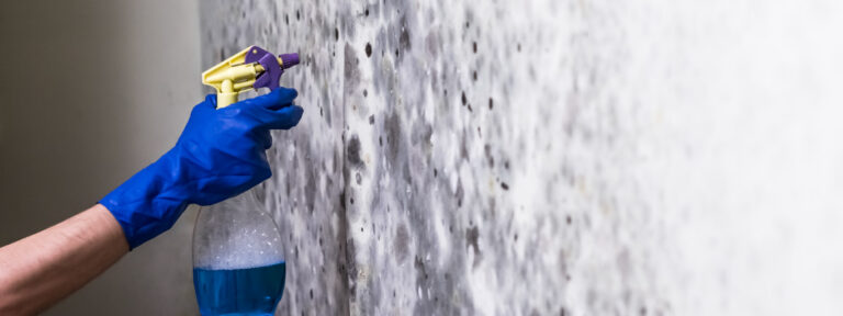 como tirar mofo de parede pintada com tinta acrílica