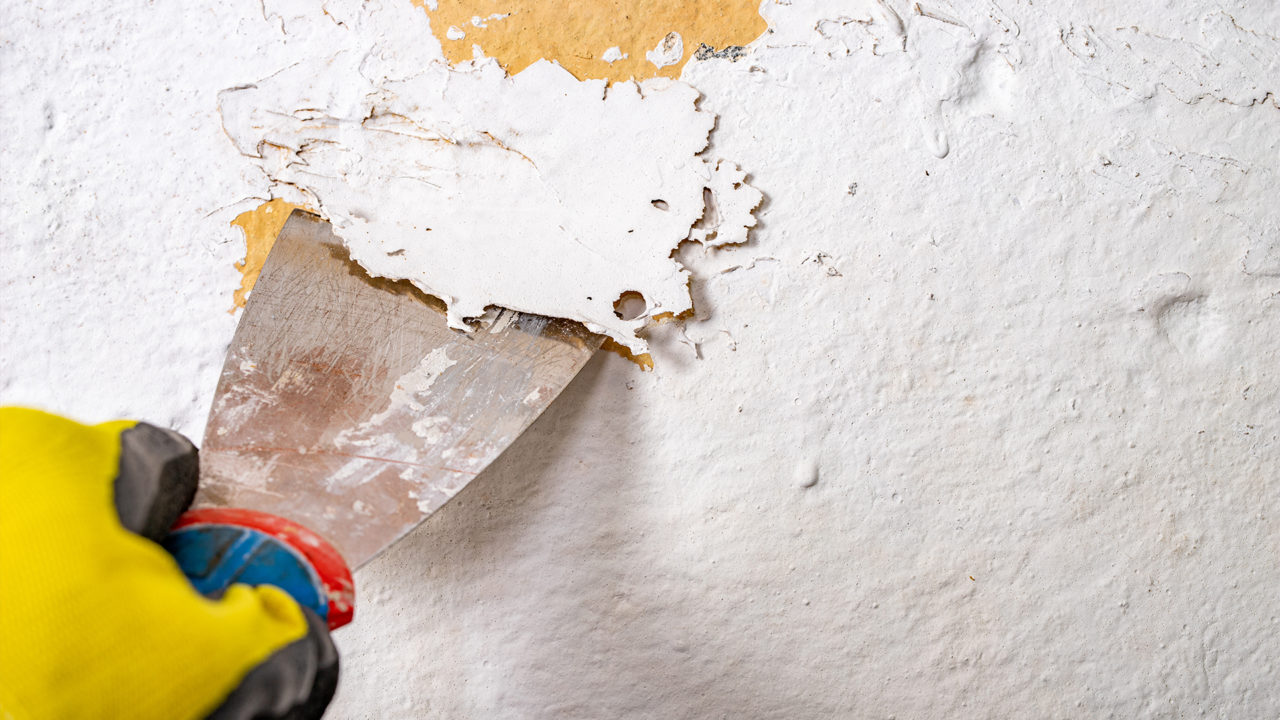 melhores dicas para eliminar mofo parede acrílica