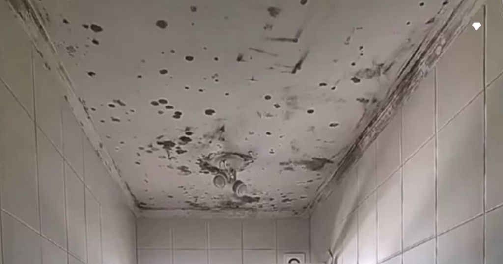 erros comuns ao tirar mofo de parede pintada