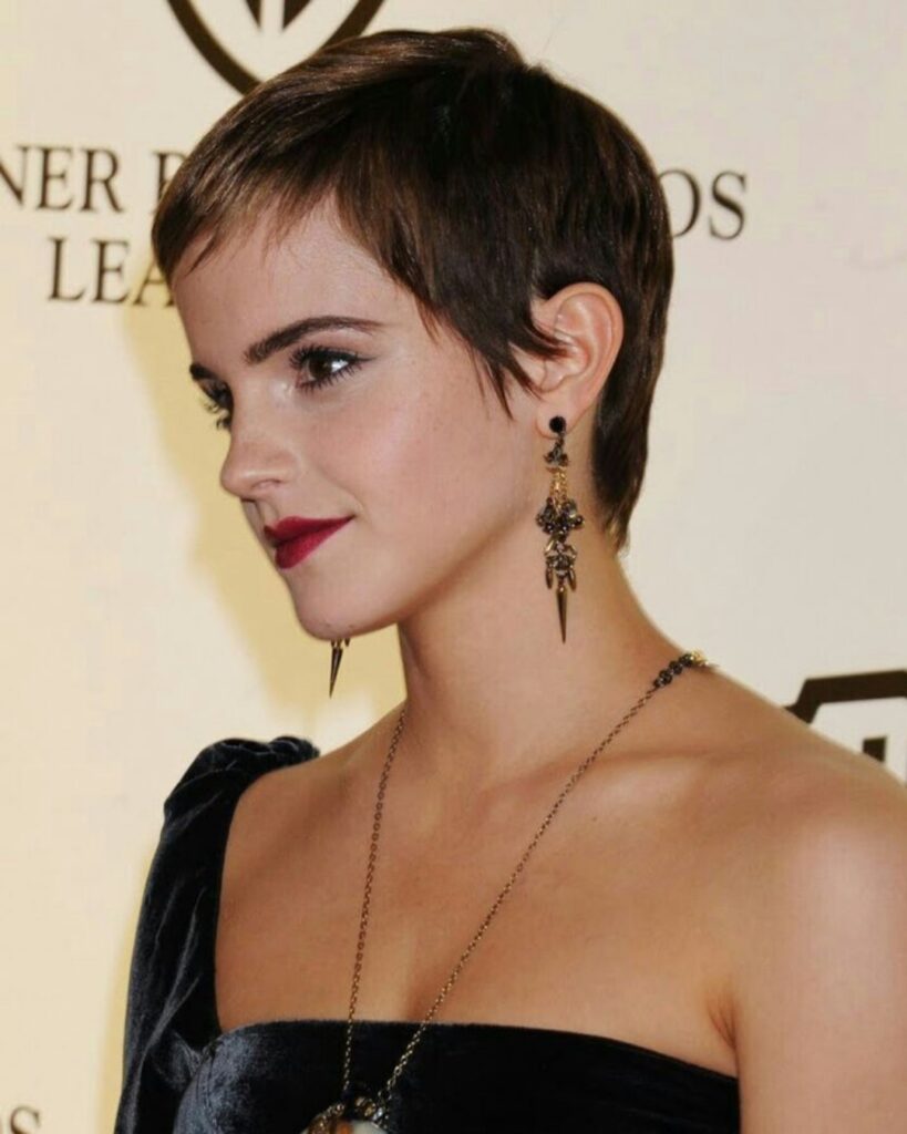 corte pixie para rosto redondo