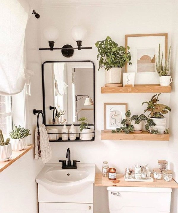 Guia completo de plantas para banheiro: Escolha a sua!