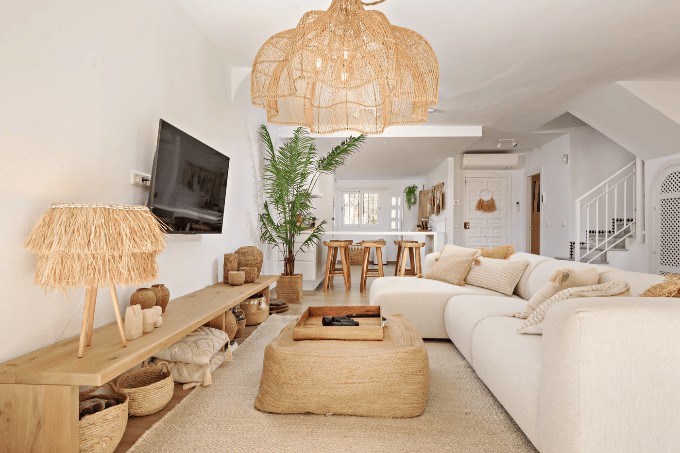 Guia Completo de Plantas para sua Urban Jungle Boho