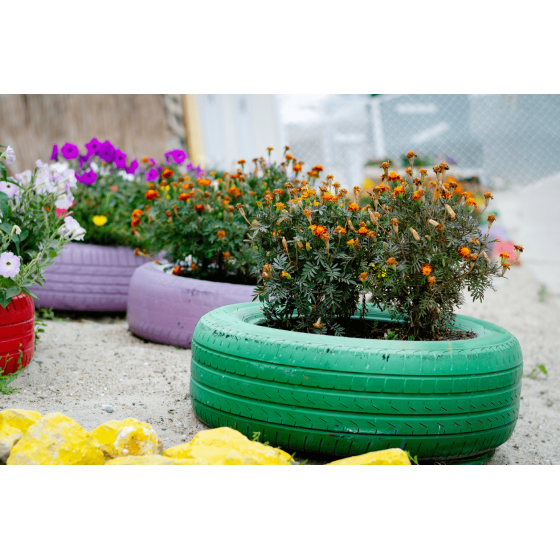 decoracao com pneus e suculentas