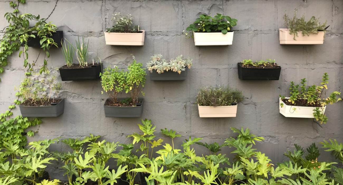 decoracao com vasos de fibra de coco