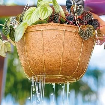 5 ideias de títulos:
1. Vasos de Fibra de Coco: A Escolha Sustentável para suas Plantas
2. Transforme sua Casa com Vasos de Fibra de Coco: Ideias Criativas
3. Guia Completo: Como Usar Vasos de Fibra de Coco na Decoração
4. As Melhores Plantas para Cultivar em Vasos de Fibra de Coco
5. Onde Encontrar e Quanto Custa: Vasos de Fibra de Coco