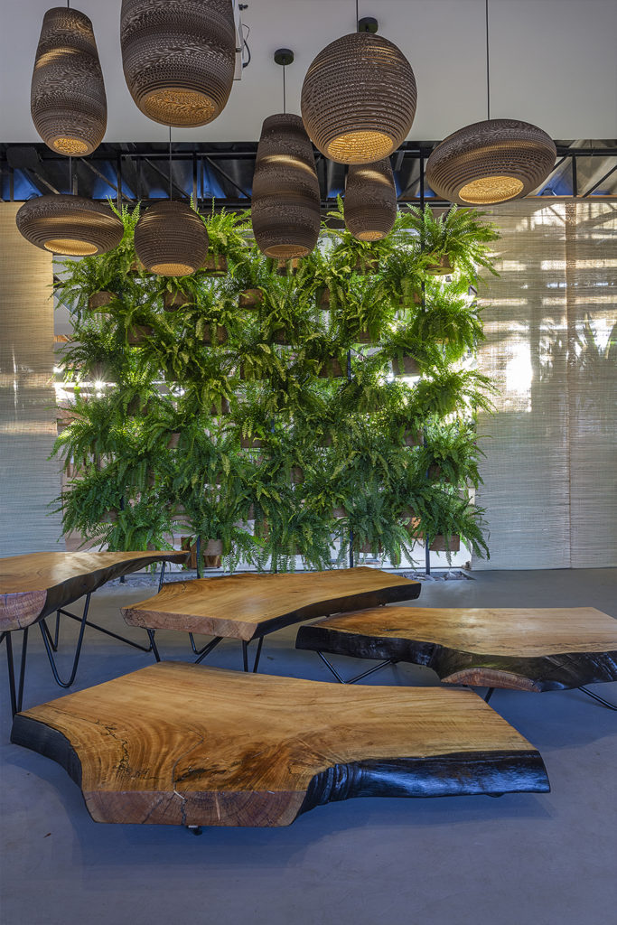 5 ideias de títulos:
1. Vasos de Fibra de Coco: A Escolha Sustentável para suas Plantas
2. Transforme sua Casa com Vasos de Fibra de Coco: Ideias Criativas
3. Guia Completo: Como Usar Vasos de Fibra de Coco na Decoração
4. As Melhores Plantas para Cultivar em Vasos de Fibra de Coco
5. Onde Encontrar e Quanto Custa: Vasos de Fibra de Coco