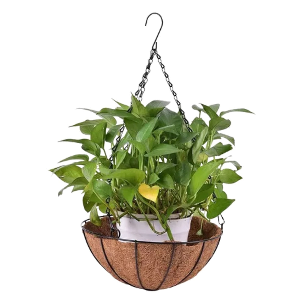 decoracao com vasos de fibra de coco